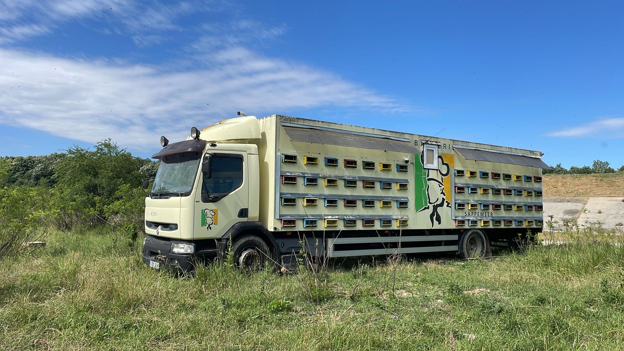 Am dus stupii la tei și acum așteptăm floarea. Pavilionul e parcat la marginea pădurii, iar teiul abia stă să înflorească. Câteva zile de răbdare, ca albinele să prindă culesul exact când teiul dă în floare. 🐝