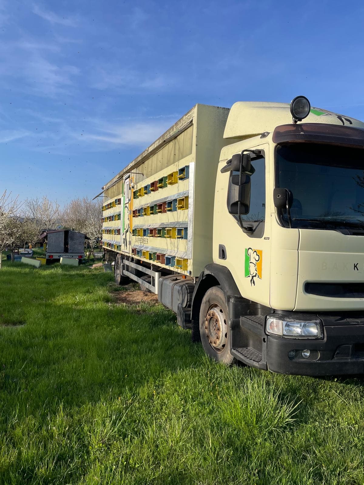 Camion de pastoral al stupinei în câmp